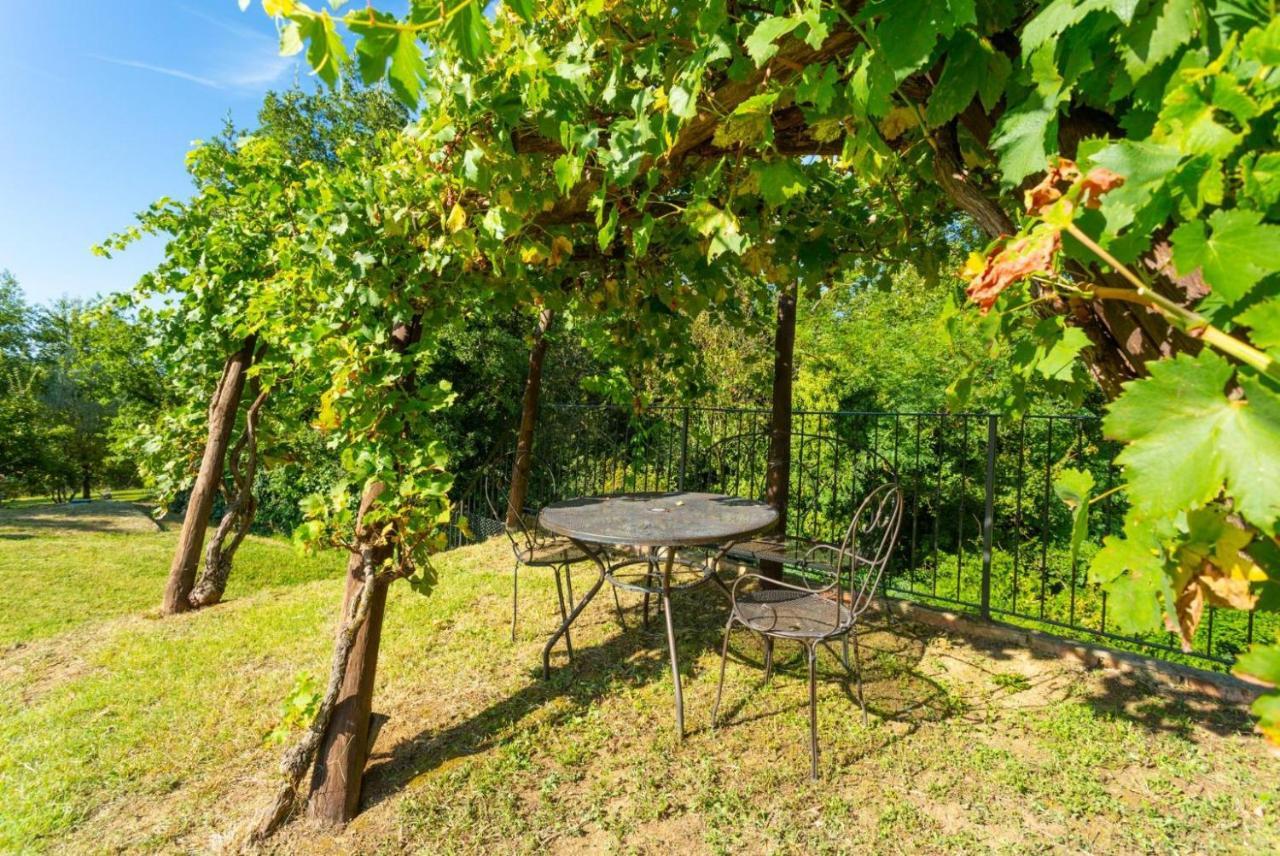 Villa Casale Federica 阿雷佐 外观 照片