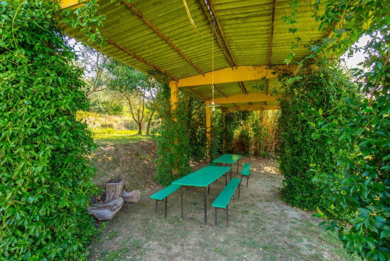 Villa Casale Federica 阿雷佐 外观 照片